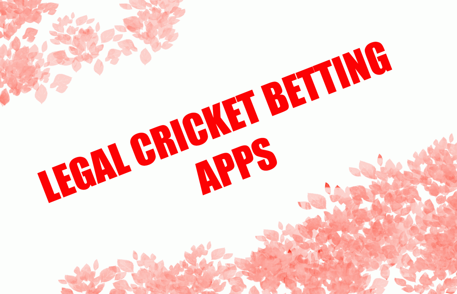 cricket betting services