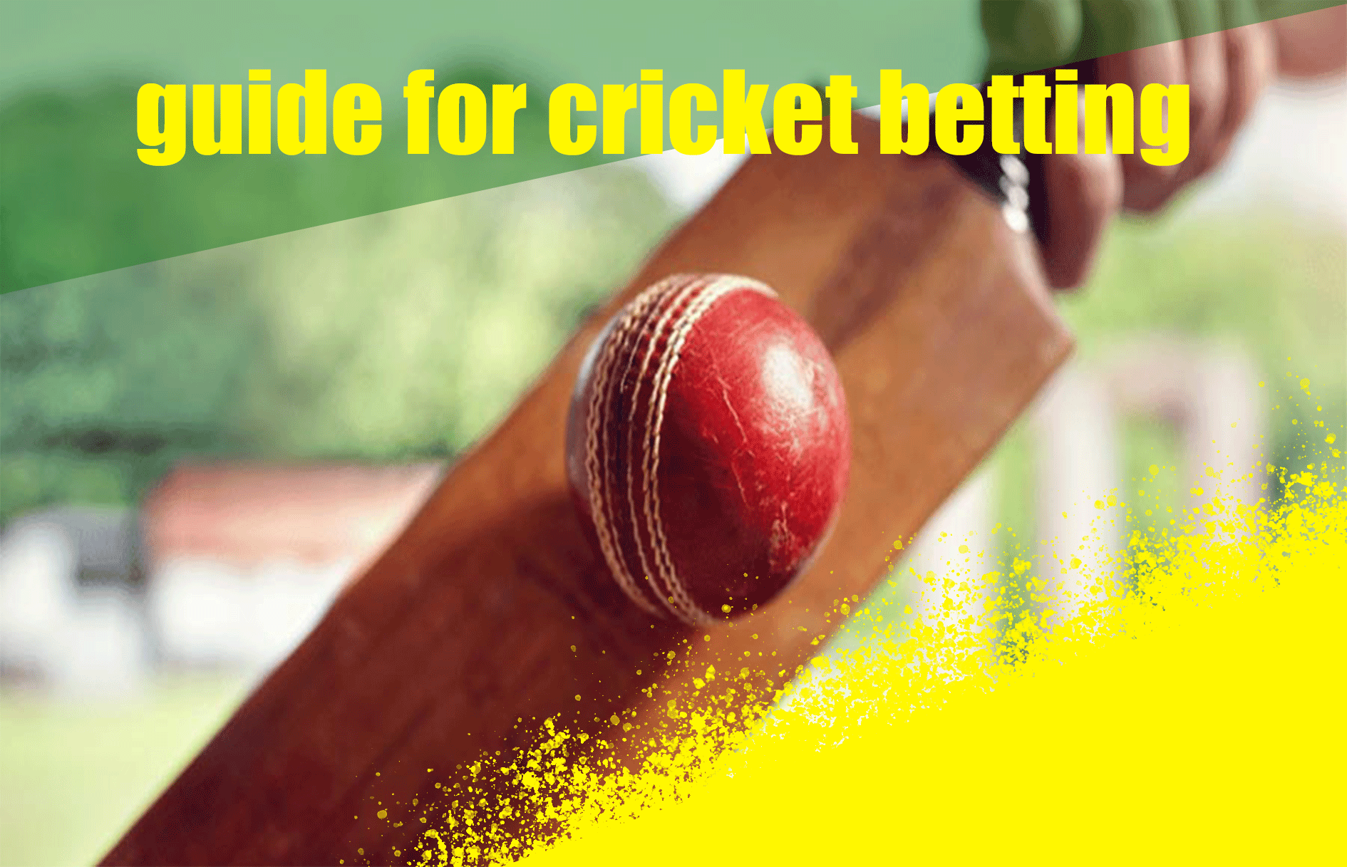 cricket-betting-tips-for-beginners