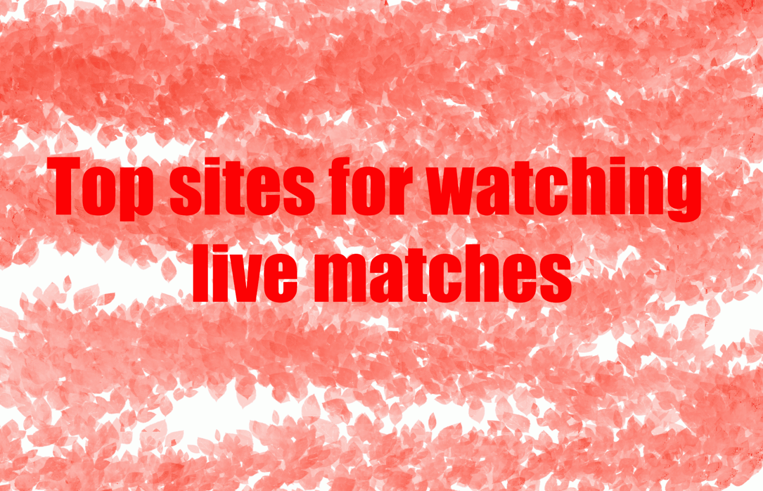Here you can enjoy live cricket matches